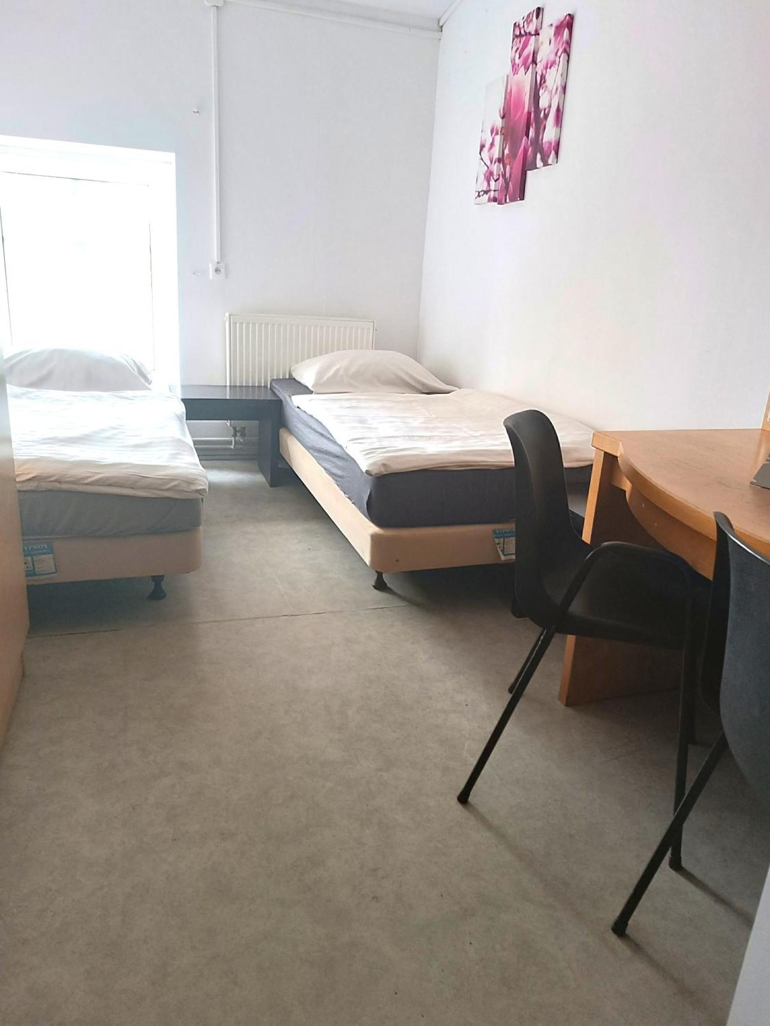 Hostel Krosnienska 12 Жельона Гора Екстериор снимка